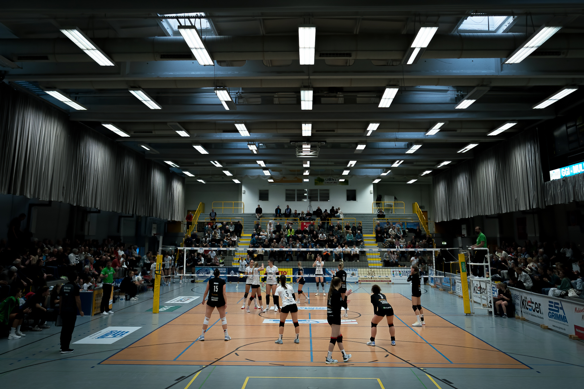Volleyball
